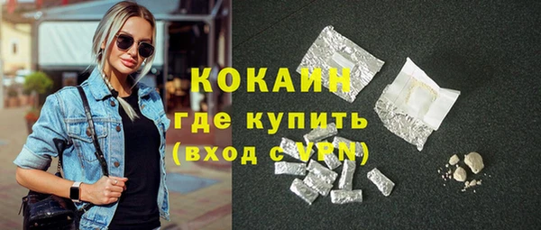индика Армянск
