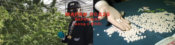 дурь Алексин